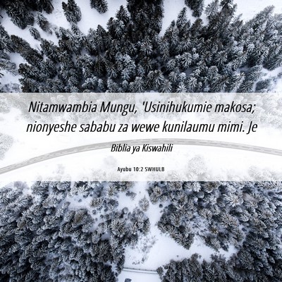 Picture 06 - Ayubu 10:2 SWHULB - Nitamwambia Mungu, 'Usinihukumie makosa; - Bible Verse Picture