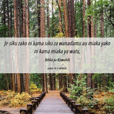 Picture 06 - Ayubu 10:5 SWHULB - Je siku zako ni kama siku za wanadamu au miaka - Bible Verse Picture