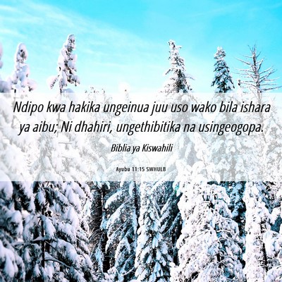 Picture 06 - Ayubu 11:15 SWHULB - Ndipo kwa hakika ungeinua juu uso wako bila - Bible Verse Picture