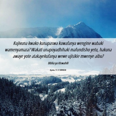 Picture 06 - Ayubu 11:3 SWHULB - Kujivuna kwako kunapaswa kuwafanya wengine wabaki - Bible Verse Picture