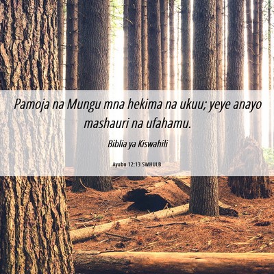 Picture 06 - Ayubu 12:13 SWHULB - Pamoja na Mungu mna hekima na ukuu; yeye anayo - Bible Verse Picture
