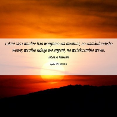Picture 06 - Ayubu 12:7 SWHULB - Lakini sasa waulize hao wanyama wa mwituni, na - Bible Verse Picture