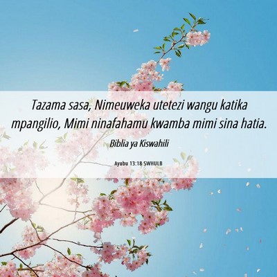 Picture 06 - Ayubu 13:18 SWHULB - Tazama sasa, Nimeuweka utetezi wangu katika - Bible Verse Picture