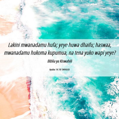 Picture 06 - Ayubu 14:10 SWHULB - Lakini mwanadamu hufa; yeye huwa dhaifu; haswaa, - Bible Verse Picture
