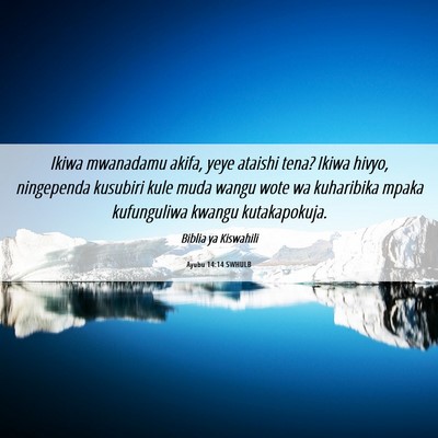 Picture 06 - Ayubu 14:14 SWHULB - Ikiwa mwanadamu akifa, yeye ataishi tena? Ikiwa - Bible Verse Picture