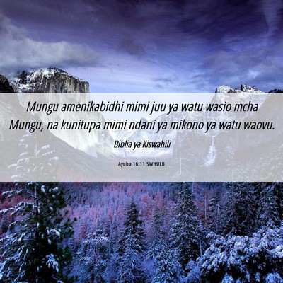Picture 06 - Ayubu 16:11 SWHULB - Mungu amenikabidhi mimi juu ya watu wasio mcha - Bible Verse Picture