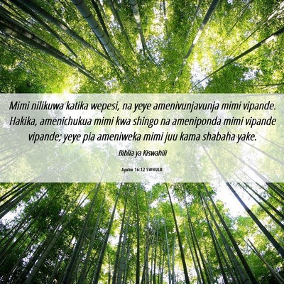 Picture 06 - Ayubu 16:12 SWHULB - Mimi nilikuwa katika wepesi, na yeye - Bible Verse Picture