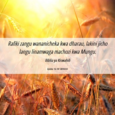 Picture 06 - Ayubu 16:20 SWHULB - Rafiki zangu wananicheka kwa dharau, lakini jicho - Bible Verse Picture