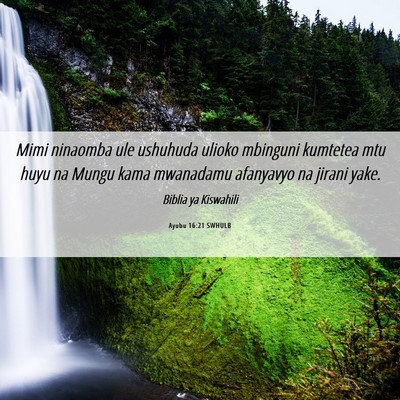 Picture 06 - Ayubu 16:21 SWHULB - Mimi ninaomba ule ushuhuda ulioko mbinguni - Bible Verse Picture