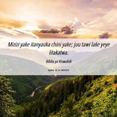 Picture 06 - Ayubu 18:16 SWHULB - Mizizi yake itanyauka chini yake; juu tawi lake - Bible Verse Picture