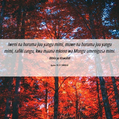 Picture 06 - Ayubu 19:21 SWHULB - Iweni na huruma juu yangu mimi, muwe na huruma - Bible Verse Picture