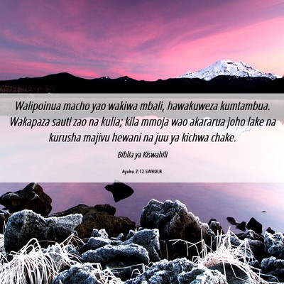 Picture 06 - Ayubu 2:12 SWHULB - Walipoinua macho yao wakiwa mbali, hawakuweza - Bible Verse Picture
