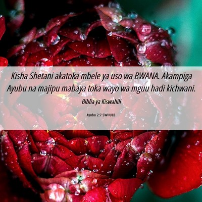 Picture 06 - Ayubu 2:7 SWHULB - Kisha Shetani akatoka mbele ya uso wa BWANA. - Bible Verse Picture