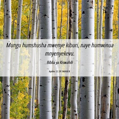 Picture 06 - Ayubu 22:29 SWHULB - Mungu humshusha mwenye kiburi, naye humwinua - Bible Verse Picture