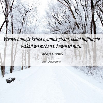 Picture 06 - Ayubu 24:16 SWHULB - Waovu huingia katika nyumba gizani, lakini - Bible Verse Picture