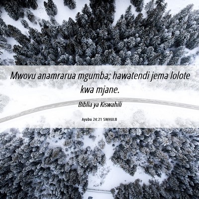 Picture 06 - Ayubu 24:21 SWHULB - Mwovu anamrarua mgumba; hawatendi jema lolote kwa - Bible Verse Picture