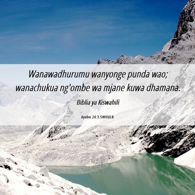 Picture 06 - Ayubu 24:3 SWHULB - Wanawadhurumu wanyonge punda wao; wanachukua - Bible Verse Picture