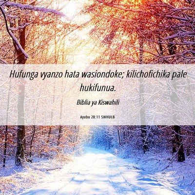 Picture 06 - Ayubu 28:11 SWHULB - Hufunga vyanzo hata wasiondoke; kilichofichika - Bible Verse Picture