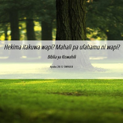 Picture 06 - Ayubu 28:12 SWHULB - Hekima itakuwa wapi? Mahali pa ufahamu ni - Bible Verse Picture