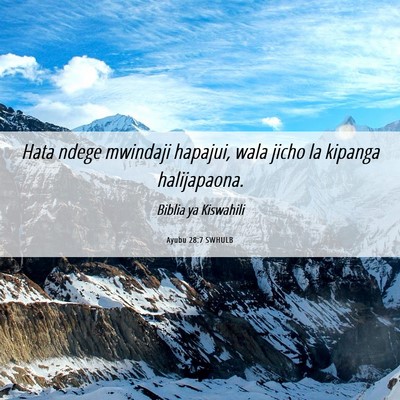 Picture 06 - Ayubu 28:7 SWHULB - Hata ndege mwindaji hapajui, wala jicho la - Bible Verse Picture