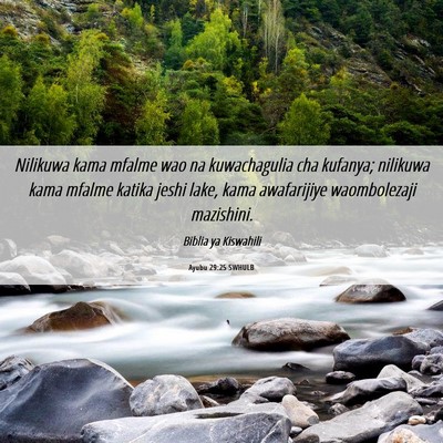 Picture 06 - Ayubu 29:25 SWHULB - Nilikuwa kama mfalme wao na kuwachagulia cha - Bible Verse Picture