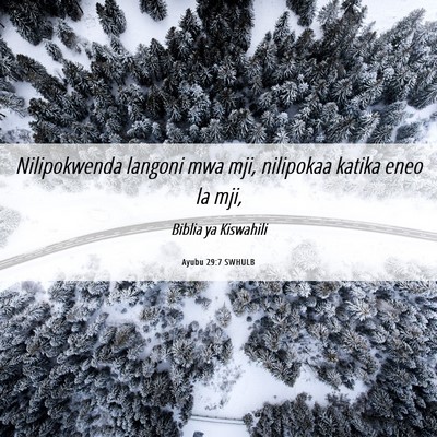 Picture 06 - Ayubu 29:7 SWHULB - Nilipokwenda langoni mwa mji, nilipokaa katika - Bible Verse Picture