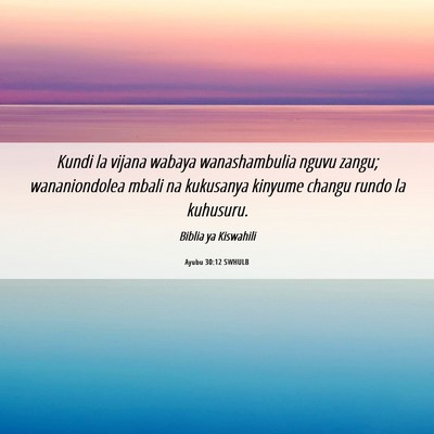 Picture 06 - Ayubu 30:12 SWHULB - Kundi la vijana wabaya wanashambulia nguvu zangu; - Bible Verse Picture