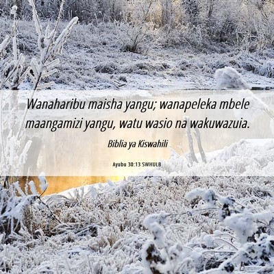 Picture 06 - Ayubu 30:13 SWHULB - Wanaharibu maisha yangu; wanapeleka mbele - Bible Verse Picture