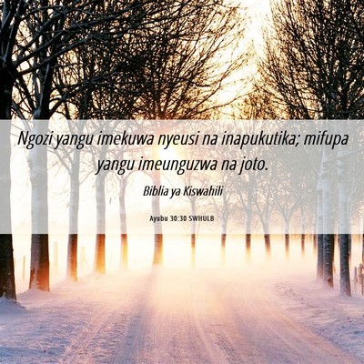 Picture 06 - Ayubu 30:30 SWHULB - Ngozi yangu imekuwa nyeusi na inapukutika; mifupa - Bible Verse Picture