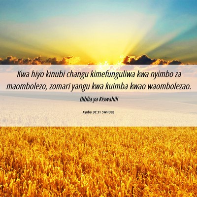 Picture 06 - Ayubu 30:31 SWHULB - Kwa hiyo kinubi changu kimefunguliwa kwa nyimbo - Bible Verse Picture