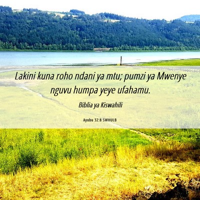 Picture 06 - Ayubu 32:8 SWHULB - Lakini kuna roho ndani ya mtu; pumzi ya Mwenye - Bible Verse Picture