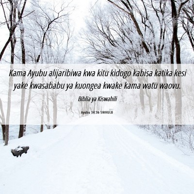 Picture 06 - Ayubu 34:36 SWHULB - Kama Ayubu alijaribiwa kwa kitu kidogo kabisa - Bible Verse Picture