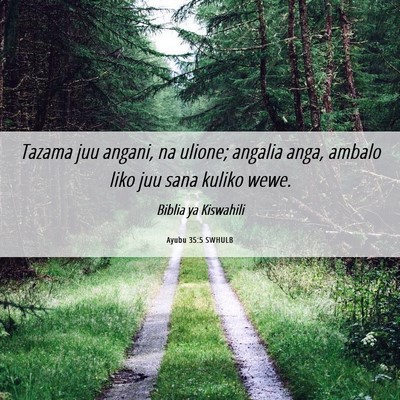 Picture 06 - Ayubu 35:5 SWHULB - Tazama juu angani, na ulione; angalia anga, - Bible Verse Picture