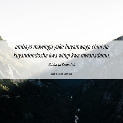 Picture 06 - Ayubu 36:28 SWHULB - ambayo mawingu yake huyamwaga chini na - Bible Verse Picture
