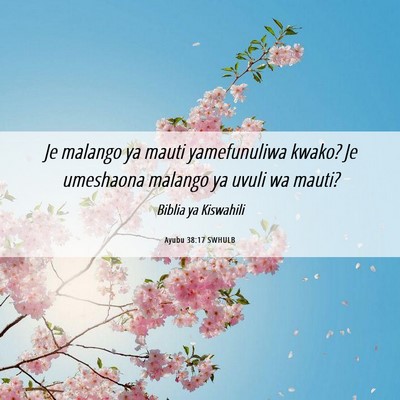 Picture 06 - Ayubu 38:17 SWHULB - Je malango ya mauti yamefunuliwa kwako? Je - Bible Verse Picture