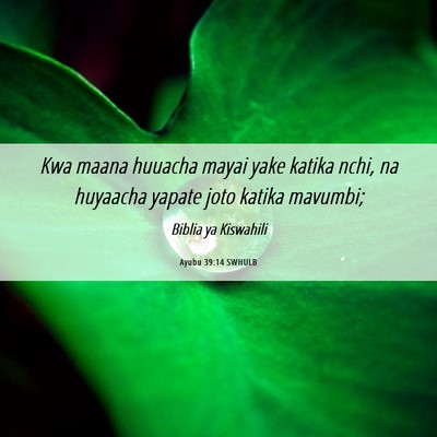 Picture 06 - Ayubu 39:14 SWHULB - Kwa maana huuacha mayai yake katika nchi, na - Bible Verse Picture