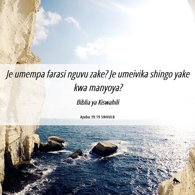 Picture 06 - Ayubu 39:19 SWHULB - Je umempa farasi nguvu zake? Je umeivika shingo - Bible Verse Picture