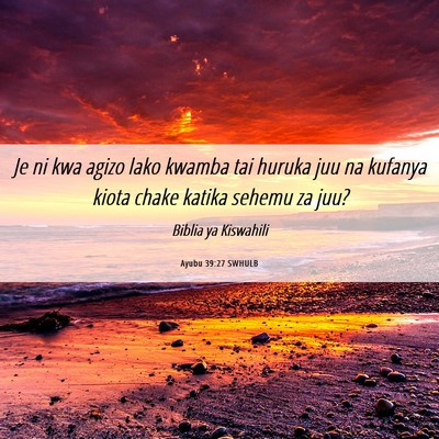 Picture 06 - Ayubu 39:27 SWHULB - Je ni kwa agizo lako kwamba tai huruka juu na - Bible Verse Picture