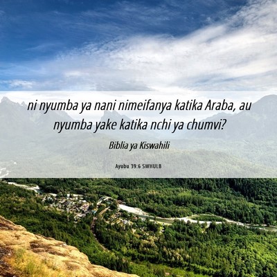 Picture 06 - Ayubu 39:6 SWHULB - ni nyumba ya nani nimeifanya katika Araba, au - Bible Verse Picture