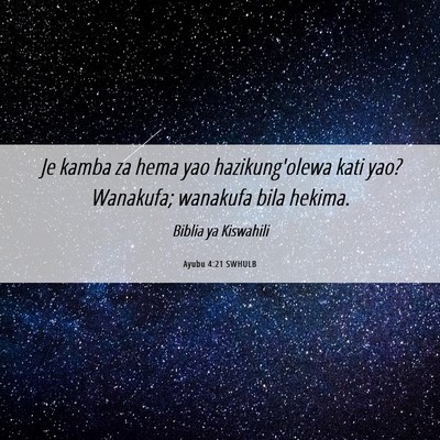 Picture 06 - Ayubu 4:21 SWHULB - Je kamba za hema yao hazikung'olewa kati yao? - Bible Verse Picture