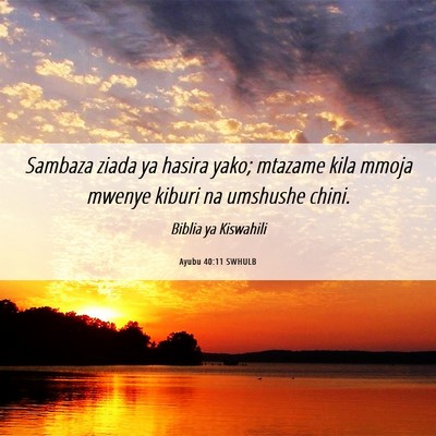 Picture 06 - Ayubu 40:11 SWHULB - Sambaza ziada ya hasira yako; mtazame kila mmoja - Bible Verse Picture