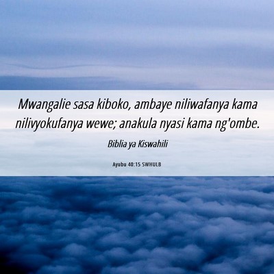 Picture 06 - Ayubu 40:15 SWHULB - Mwangalie sasa kiboko, ambaye niliwafanya kama - Bible Verse Picture