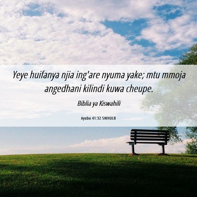 Picture 06 - Ayubu 41:32 SWHULB - Yeye huifanya njia ing'are nyuma yake; mtu mmoja - Bible Verse Picture