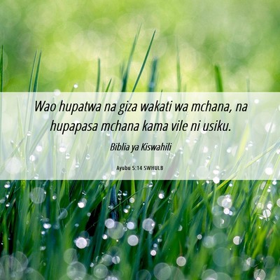 Picture 06 - Ayubu 5:14 SWHULB - Wao hupatwa na giza wakati wa mchana, na hupapasa - Bible Verse Picture