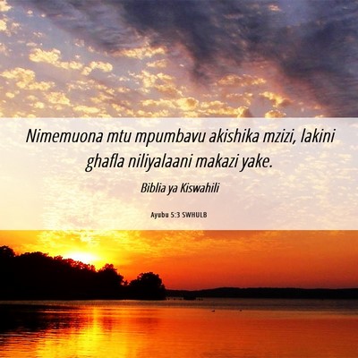 Picture 06 - Ayubu 5:3 SWHULB - Nimemuona mtu mpumbavu akishika mzizi, lakini - Bible Verse Picture