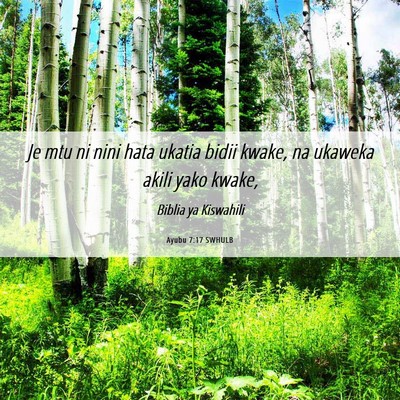 Picture 06 - Ayubu 7:17 SWHULB - Je mtu ni nini hata ukatia bidii kwake, na - Bible Verse Picture