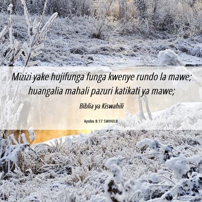 Picture 06 - Ayubu 8:17 SWHULB - Mizizi yake hujifunga funga kwenye rundo la mawe; - Bible Verse Picture