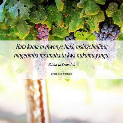Picture 06 - Ayubu 9:15 SWHULB - Hata kama ni mwenye haki, nisingelimjibu; - Bible Verse Picture