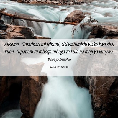 Picture 06 - Danieli 1:12 SWHULB - Alisema, “Tafadhari tujaribuni, sisi watumishi - Bible Verse Picture