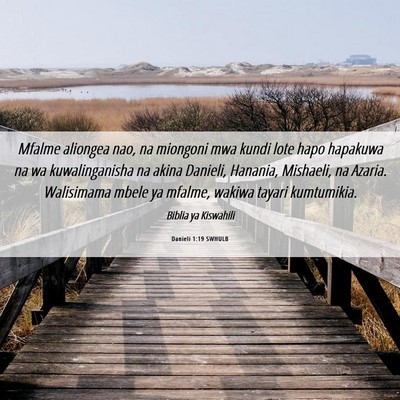 Picture 06 - Danieli 1:19 SWHULB - Mfalme aliongea nao, na miongoni mwa kundi lote - Bible Verse Picture